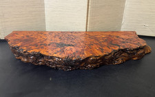 Japanese Burl Wood Bonsai