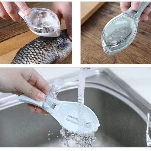 Fish skin brush scraping - fish,