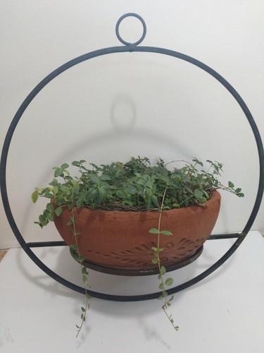Vintage circular plant hanger - vintage,