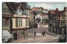 Bowness on Windermere horse