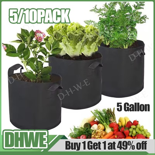 Pack large plant grow - 10,