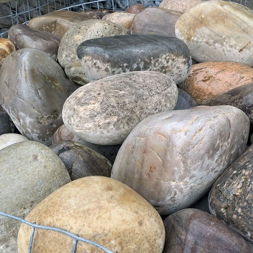 Scottish garden decorative - &,