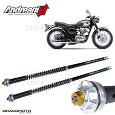 Kawasaki W 650 / W 800