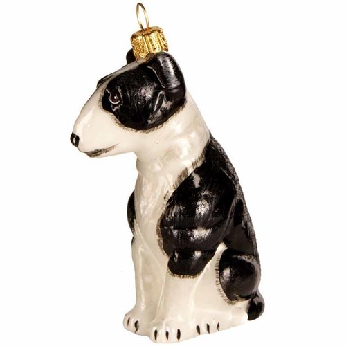 Bull terrier dog european - bull,
