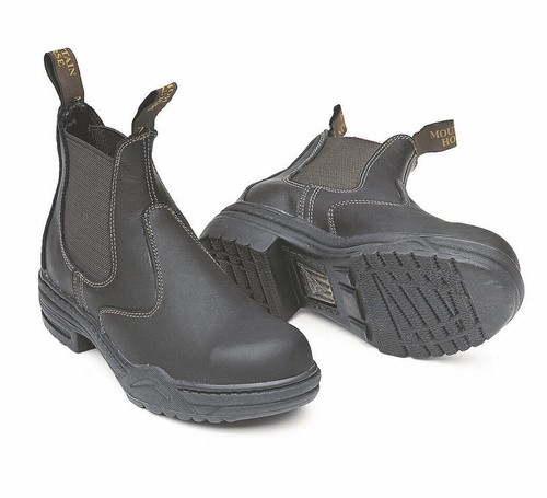 Mountain horse protective - horse,