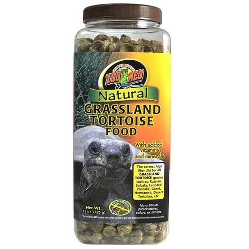 Zoomed grassland tortoise - grassland, food