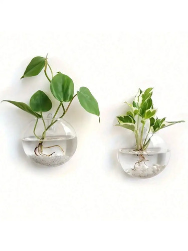 Wall hanging glass terrarium - wall,