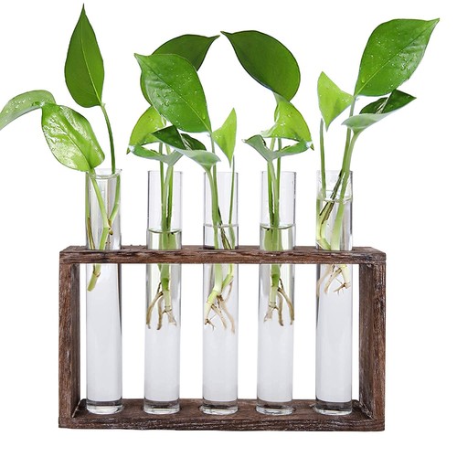 Jucoan glass planter - jucoan,