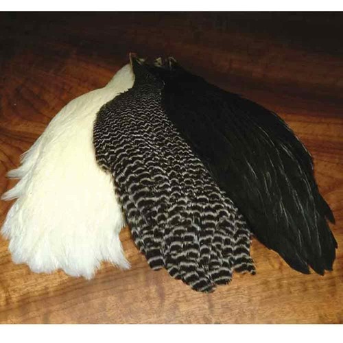 Metz hen cape neck - grade, 1