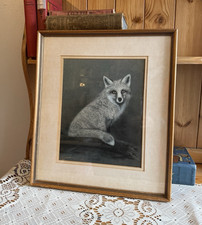Sue Willis Framed Print Fox on