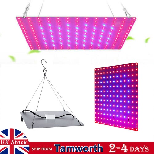 Led grow light - light, full