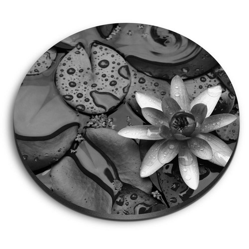 Round mdf magnets water - mdf,