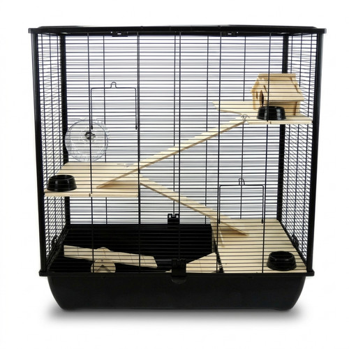 Rat hamster small - hamster, animals