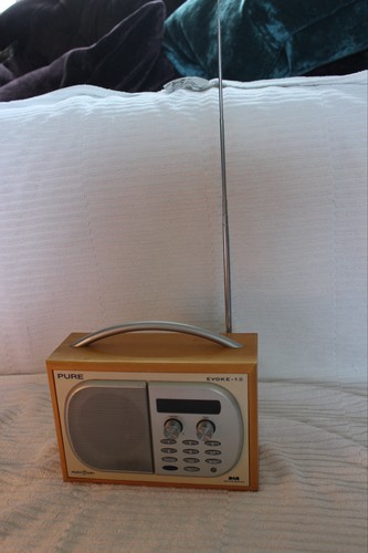 Pure evoke portable - dab, /
