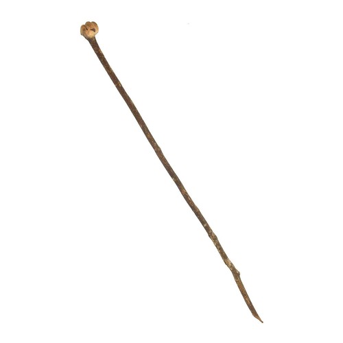 Zulu knobkerrie carved wood - carved,