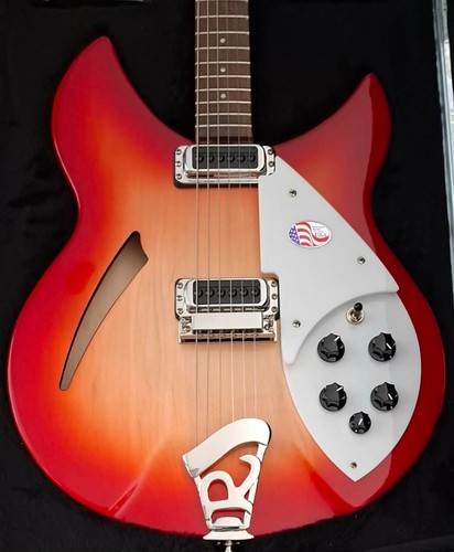 New 2026 rickenbacker 330 - 2026!!,