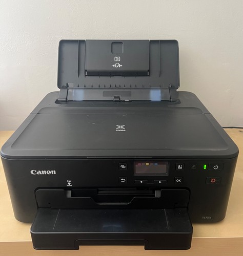 Edible printer with - with, ink