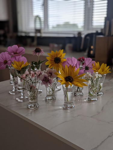 Clear glass bud vases - clear,