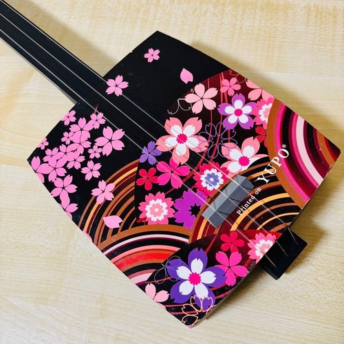 Sangenshi kikuoka shamisen - kikuoka,