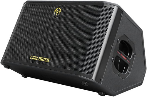 300w professional acoustic - 300w,