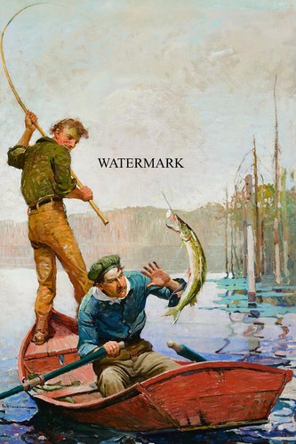 Frank schoonover pickerel - frank,