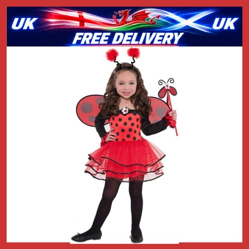 Ballerina ladybird wings - ladybird, +