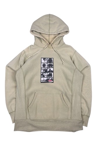 Supreme sumo hoodie sage - supreme, fw16