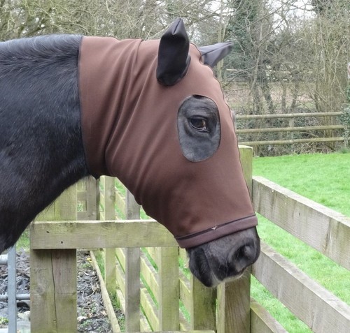 Horse face cover - -, sweet