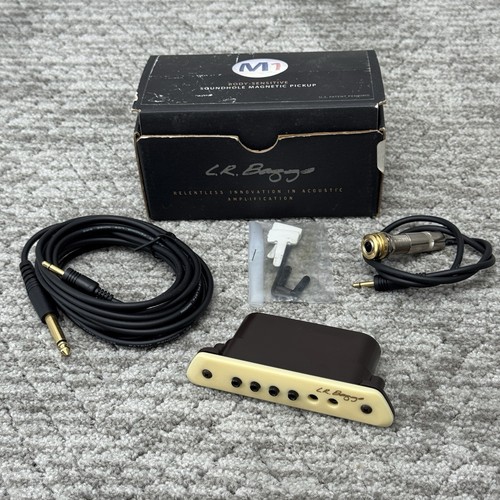 Baggs passive acoustic - lr,