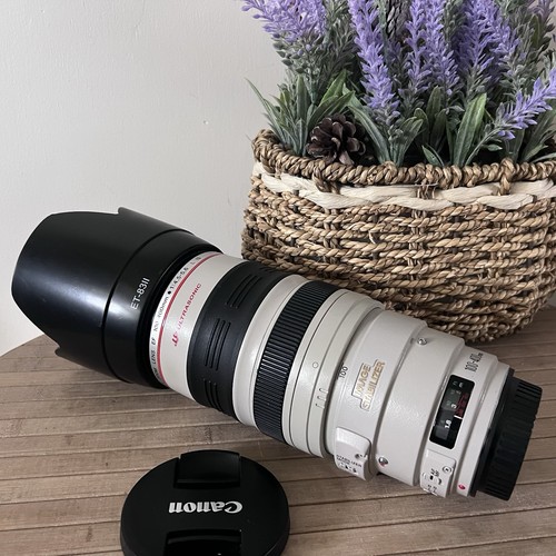 Canon 100 400mm 5 6 - canon, 100-400mm