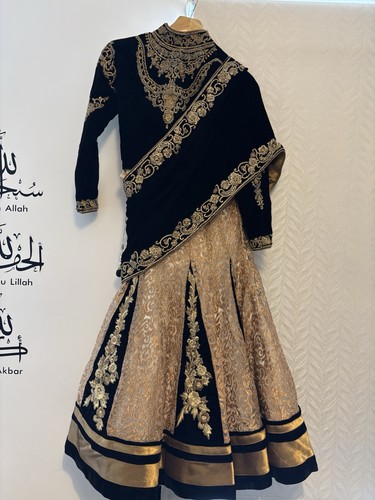 Lehenga saree choli fully - choli,