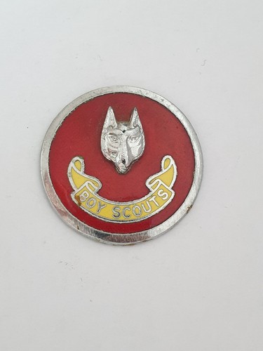 Boy scouts wolf - boy, assistant