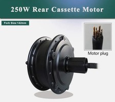 Rear Brushless Hub Motor with