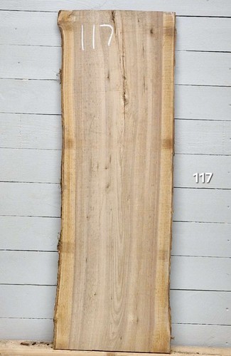 Elm live edge timber 1240mm - elm, x
