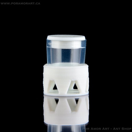 Ants por amor nano tower - ants,