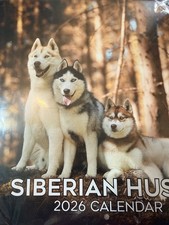 Siberian husky dog Calendar