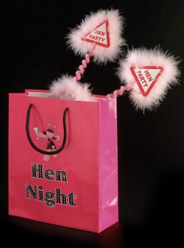 Hen party bags 3 - hen, x