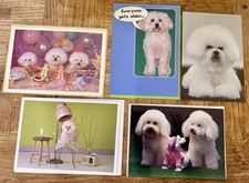Vintage Dog Greeting Cards Bundle Bichon Poodle Style Cute Retro Humor Set of 24