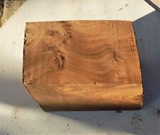 Burr/ Pippy Elm block