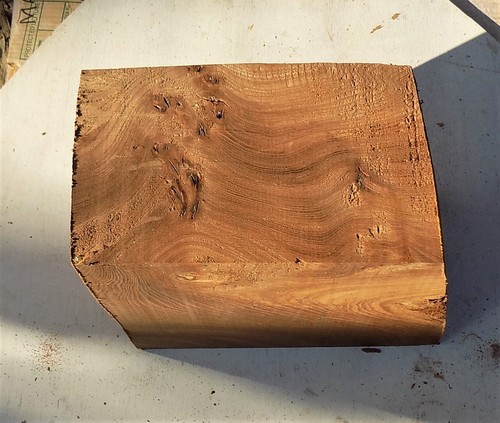 Burr pippy elm block - pippy,