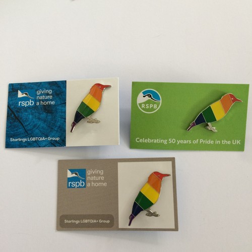 Rspb pin badges - pin,