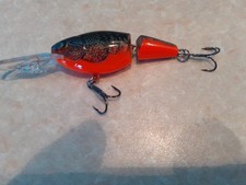 Rapala jointed shad rap in 5cm sinking..