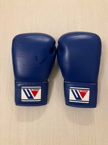 Winning boxing gloves 8oz - gloves,