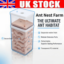 Ant Nest Ant Observation Box