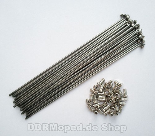 Set spokes nipples stainless - spokes,