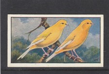1930 Hyde Bird Seed Canary