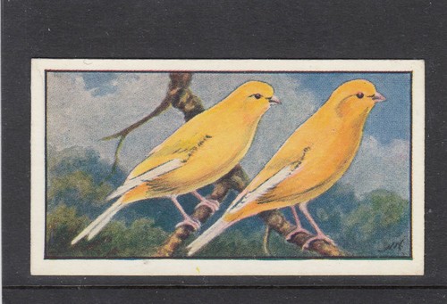 1930 hyde bird - 1930,