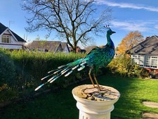 Large 64cm Exotic Bird Peacock Blue Decorative Garden Sculpture Statue Ornament 