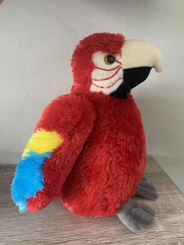 Aurora red mccaw parrot - parrot, bird