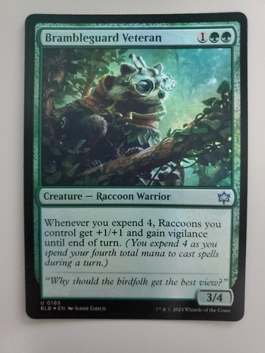 Mtg brambleguard veteran - brambleguard,